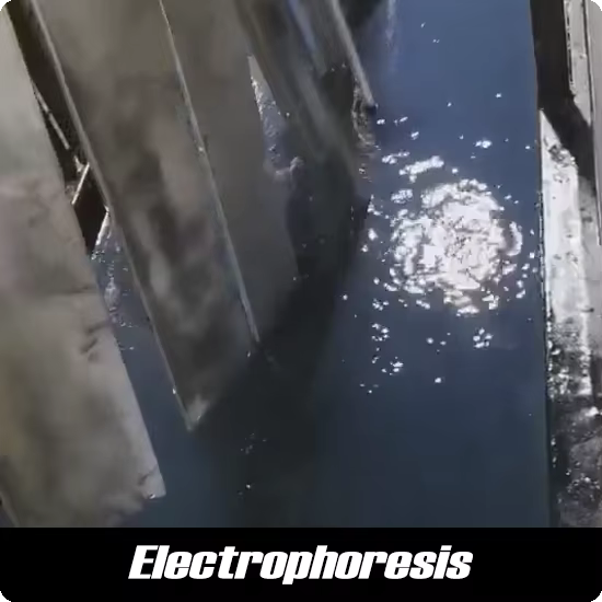 ELECTROPHORESIS